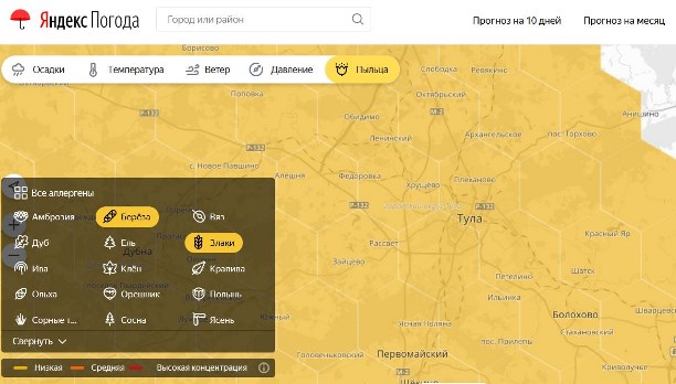 Прогноз пыльцы. Карта пыльцы Москва. Интерактивная карта аллергика.